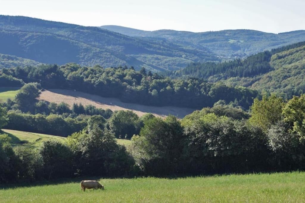 Labruguière Ahoma, Sejour Bien-Etre, Calme Et Serenite. מראה חיצוני תמונה